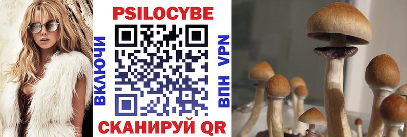Псилоцибиновые грибы мицелий  Купить где  Белоярский 